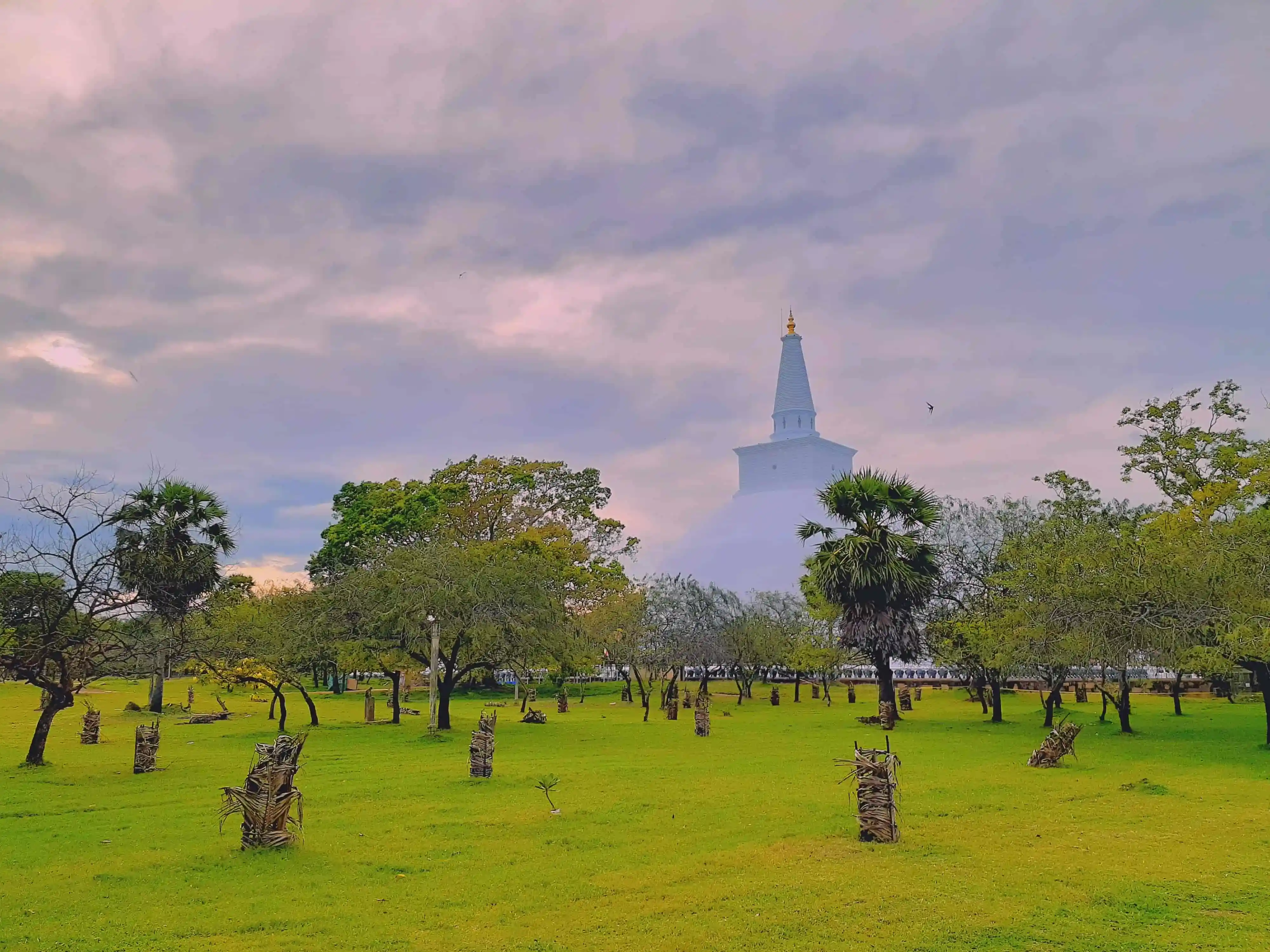 Tours en Anuradhapura