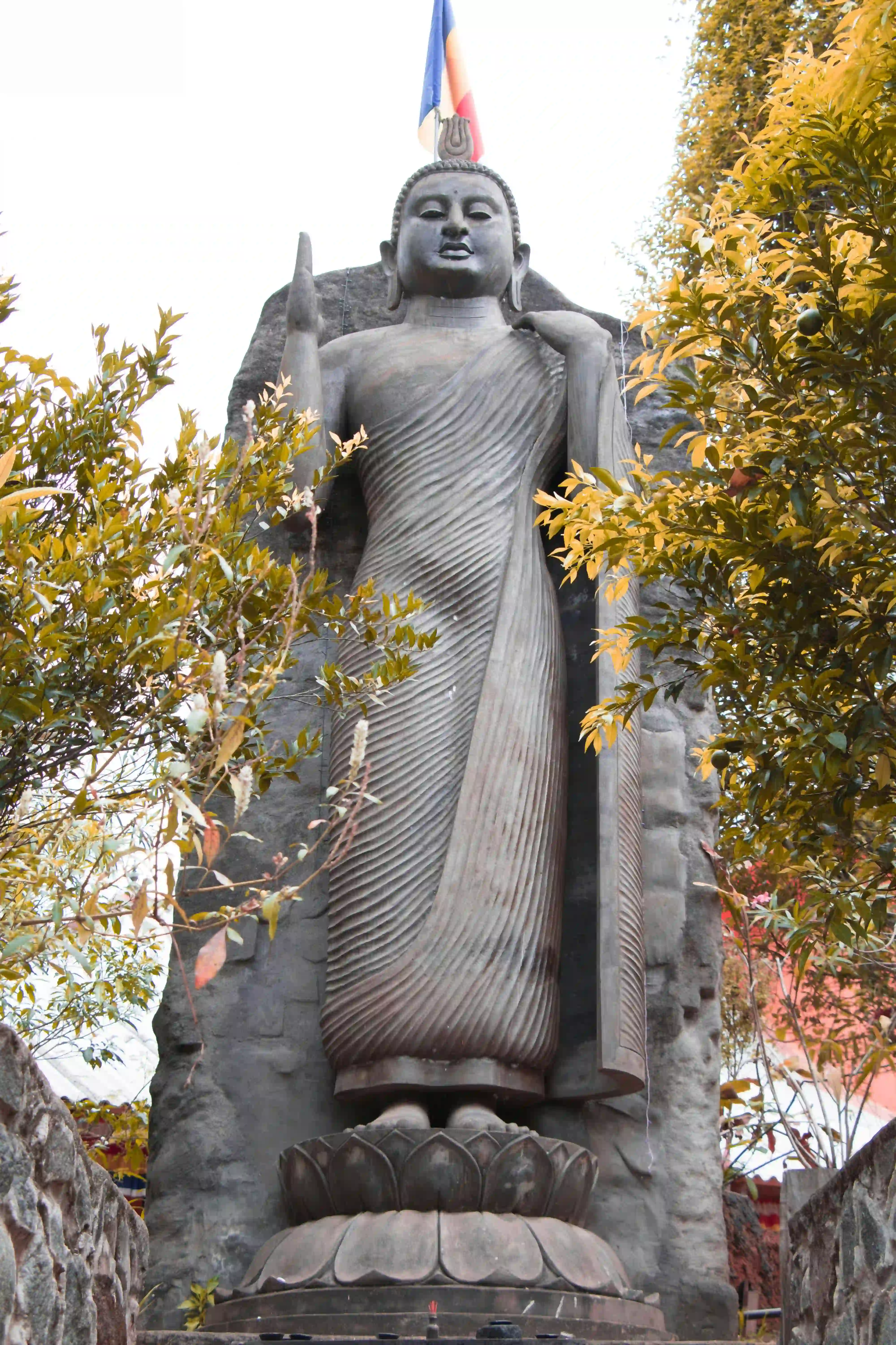 Tour a la estatua de Buda de Avukana (3h)