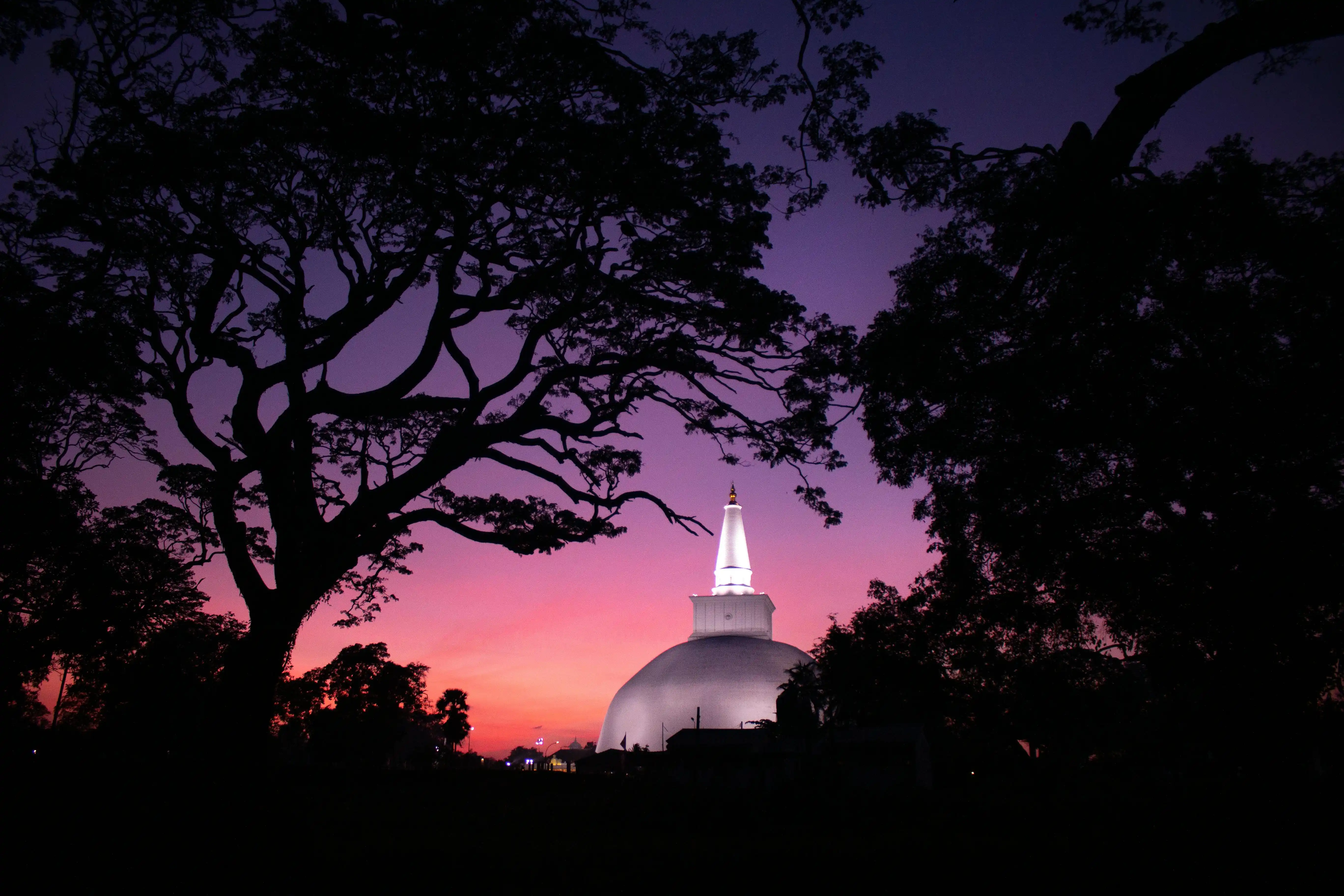 Tour por la ciudad de Anuradhapura (5h)